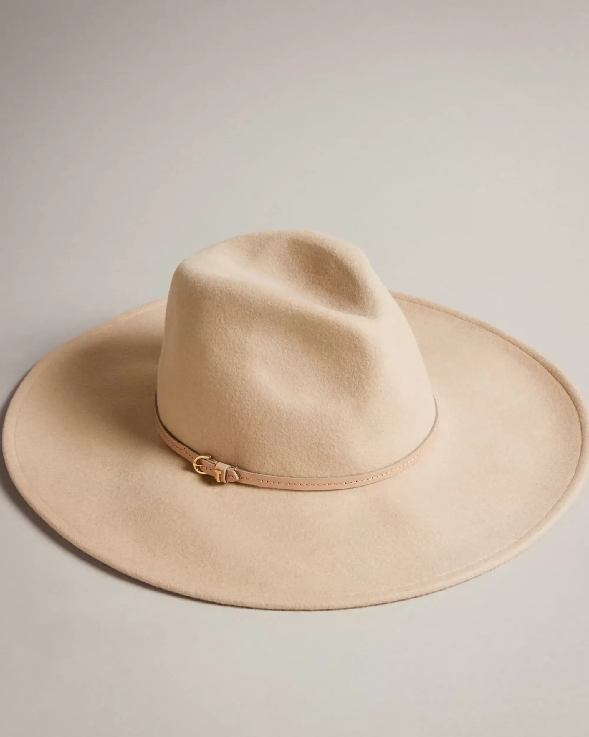 Ted Baker Abbiea Taupe Hot