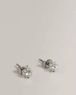 Ted Baker Celstar Silver Colour Sale