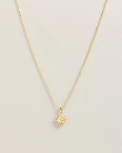 Ted Baker Celstia Gold Colour