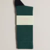 Ted Baker Corecol Dark Green