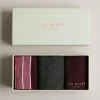 Ted Baker Dudes Assorted Hot