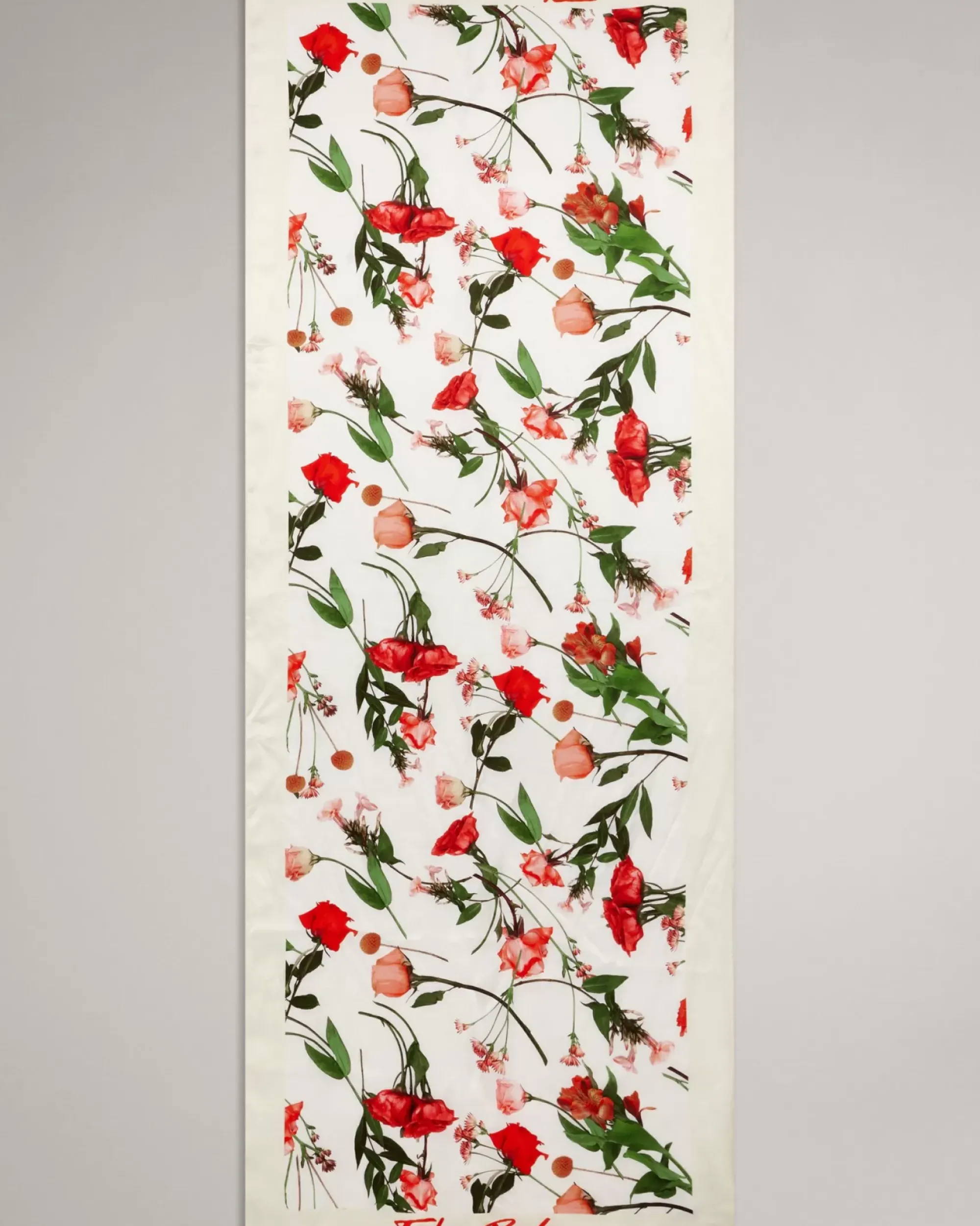 Ted Baker Fionaas White New