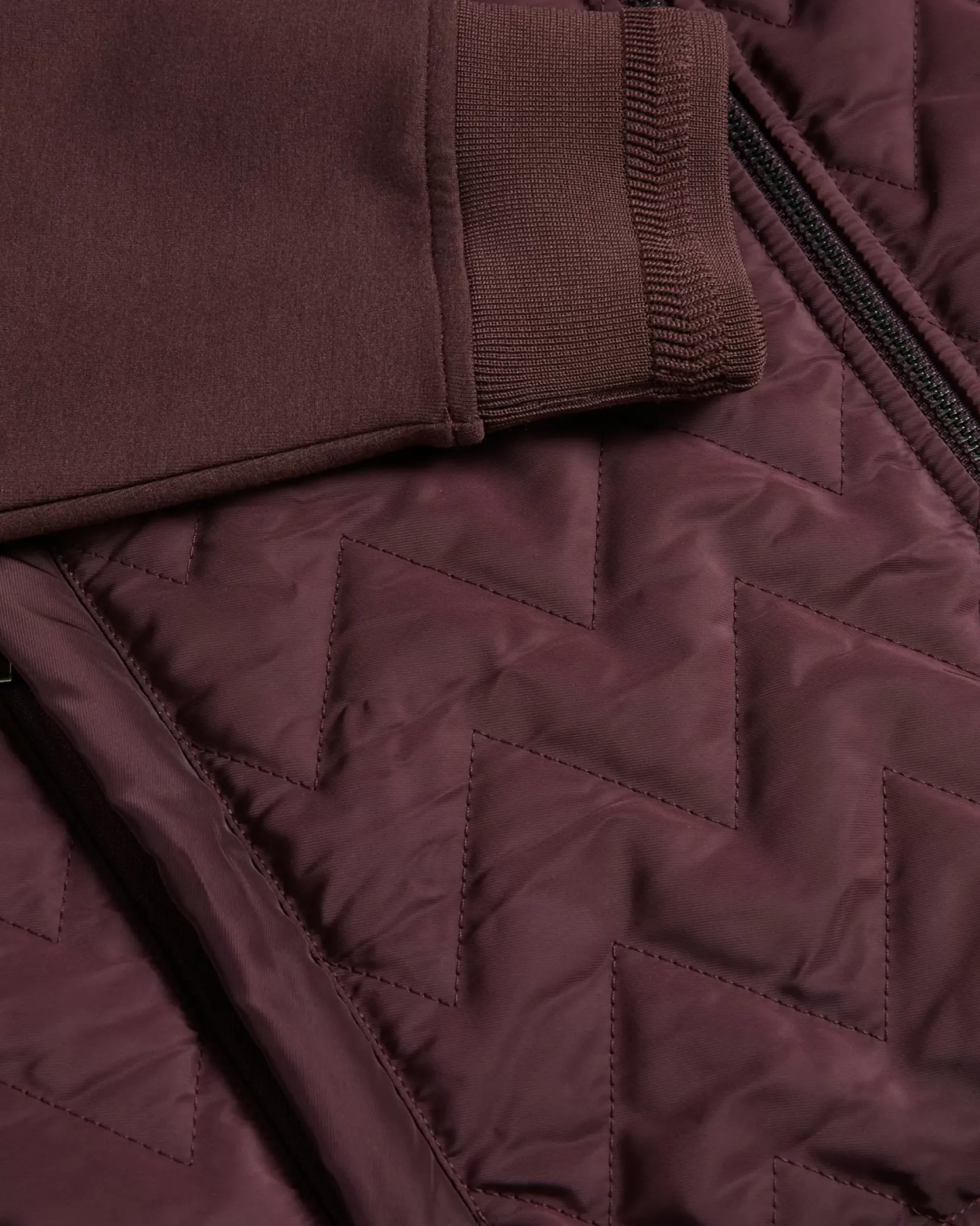Ted Baker Hamste Deep Purple Sale