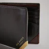 Ted Baker Korning Chocolate Best