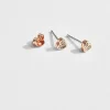 Ted Baker Neenia Rose Gold Discount
