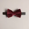 Ted Baker Niico Dark Red Clearance