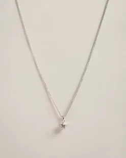 Ted Baker Pistila Silver Colour