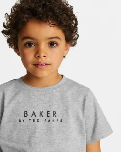 Ted Baker Rosilan Grey Online