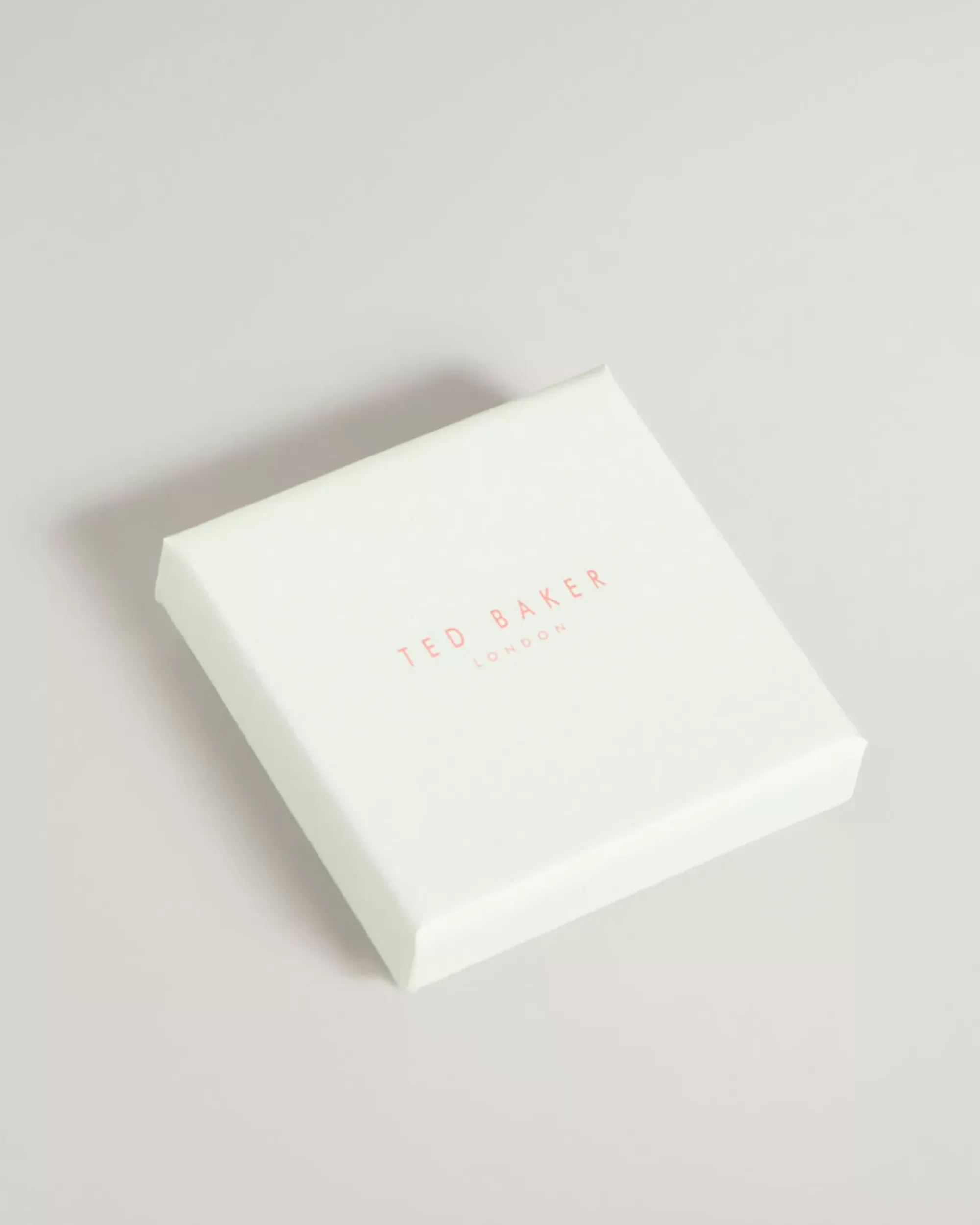 Ted Baker Sarsah Silver Colour Discount