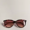 Ted Baker Suzyy Tortoiseshell Hot